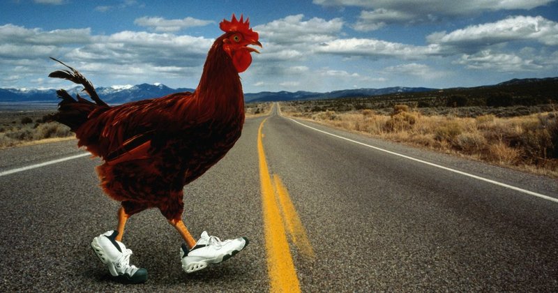 Cel mai bun chicken road game în Romania